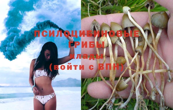 индика Горняк